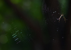 ソーラーハウス