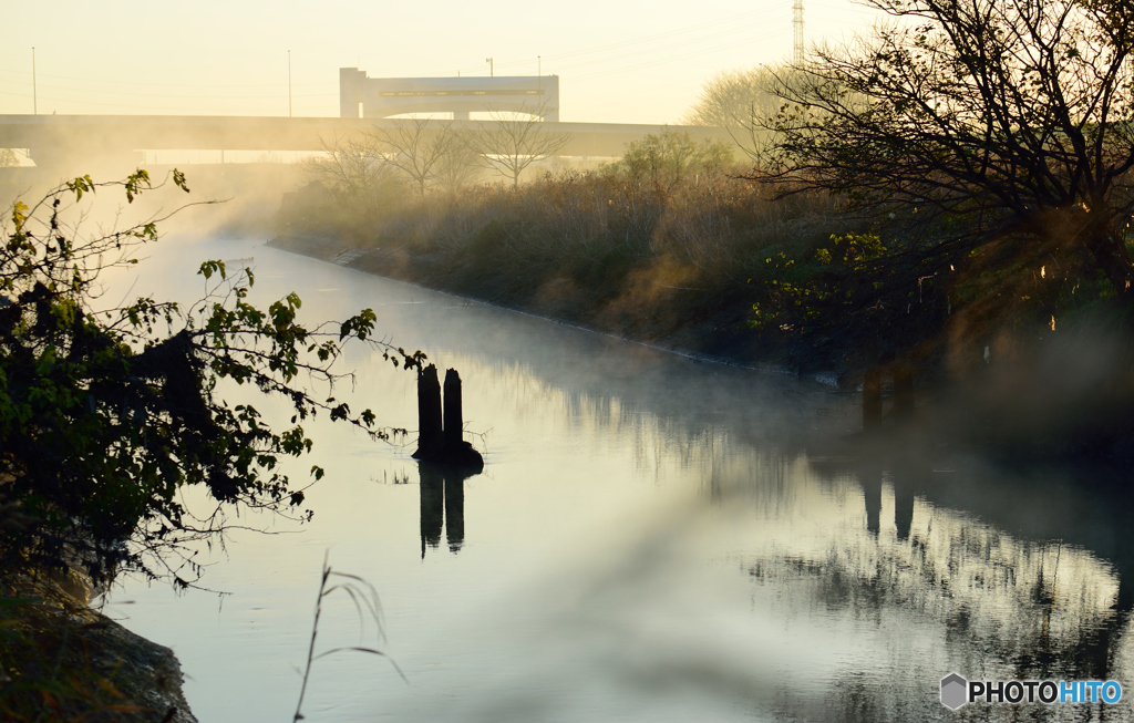川霧と木漏れ日