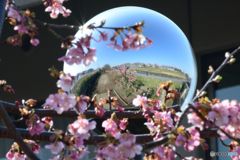 もう一つの世界