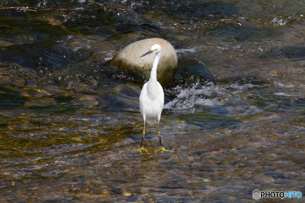 朝食見逃しません