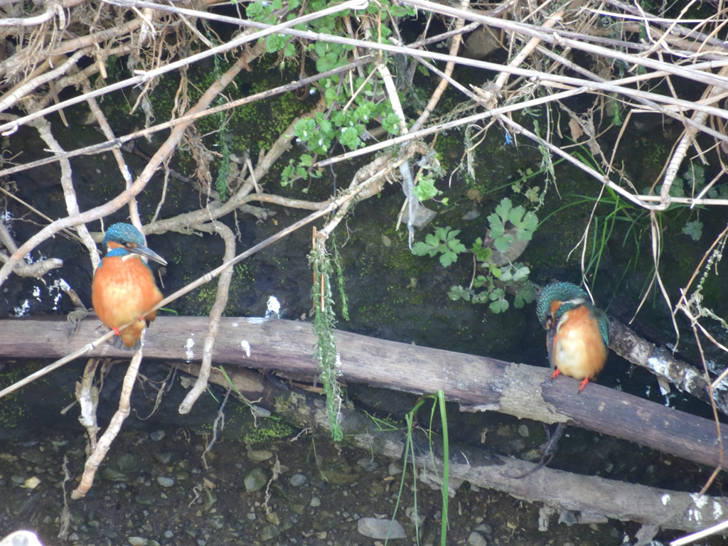 よろしくお願いします