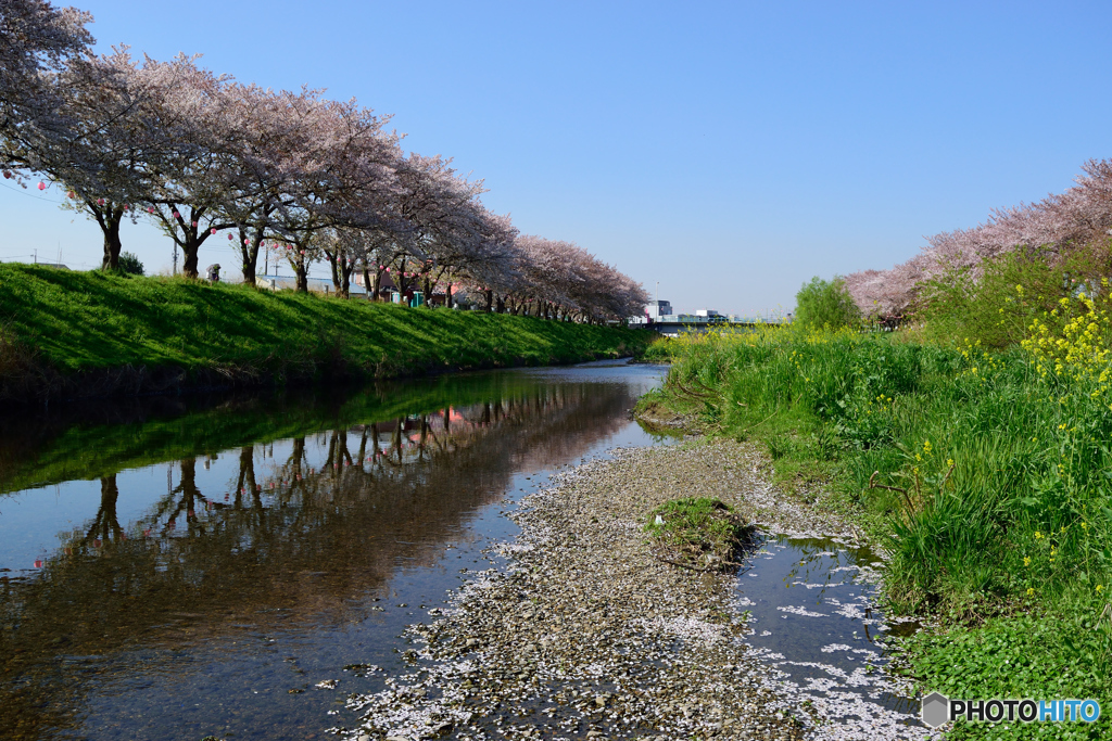 もうすぐ見納め