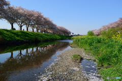 もうすぐ見納め