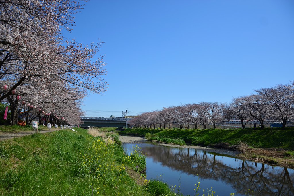 平日は最高