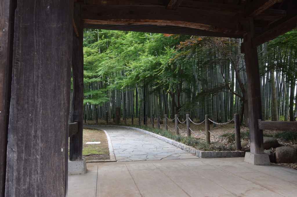 導線