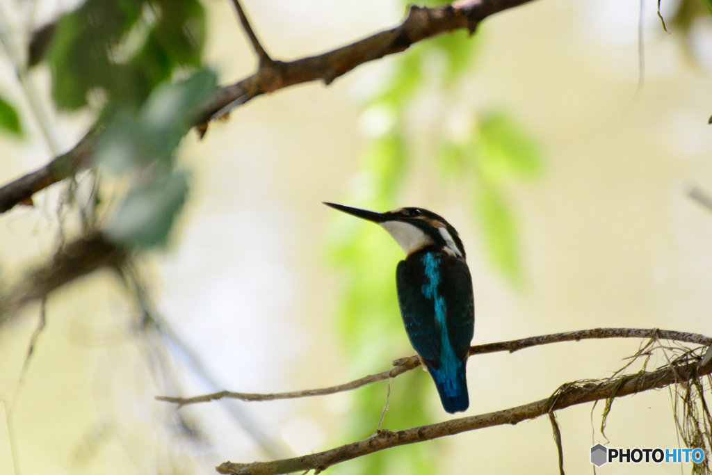寄りすぎちゃったかな
