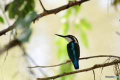 寄りすぎちゃったかな