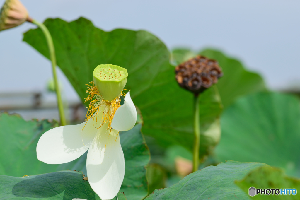 見学はこちらから