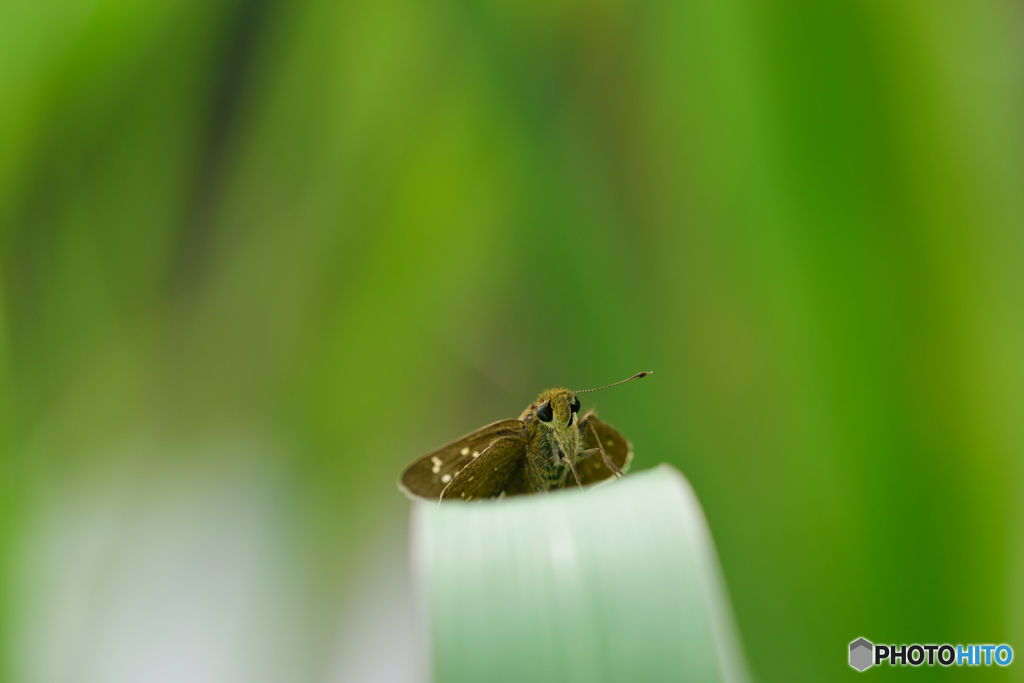 スクランブル待機中