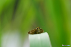 スクランブル待機中