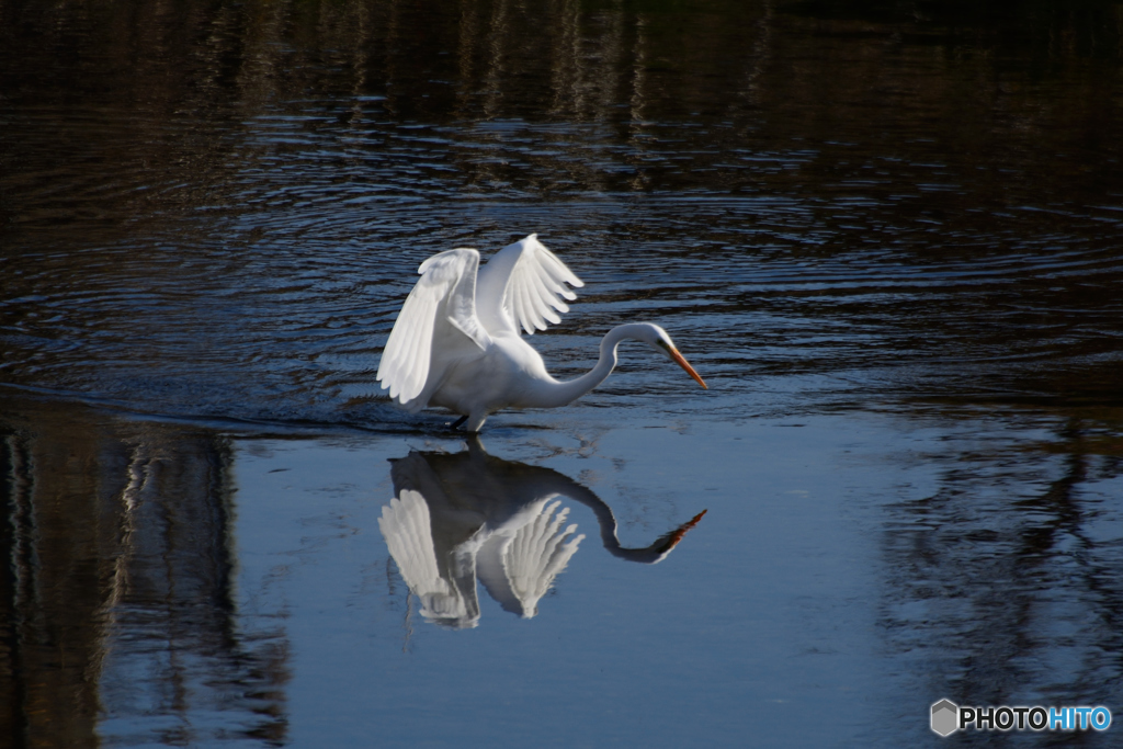 狙った獲物は逃さない