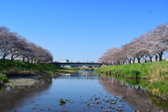 花まつりの後で_1