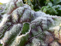 今年一番の寒さ