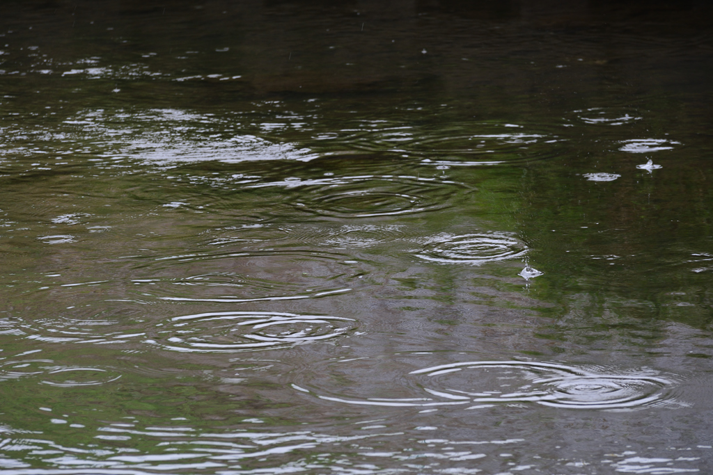 雨宿りの合間に