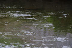 雨宿りの合間に