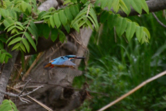 カワ三昧_次の場所へ