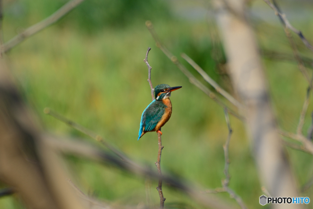 止まりココチ最高