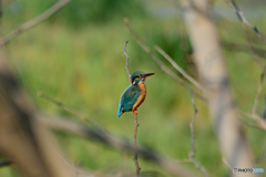 止まりココチ最高