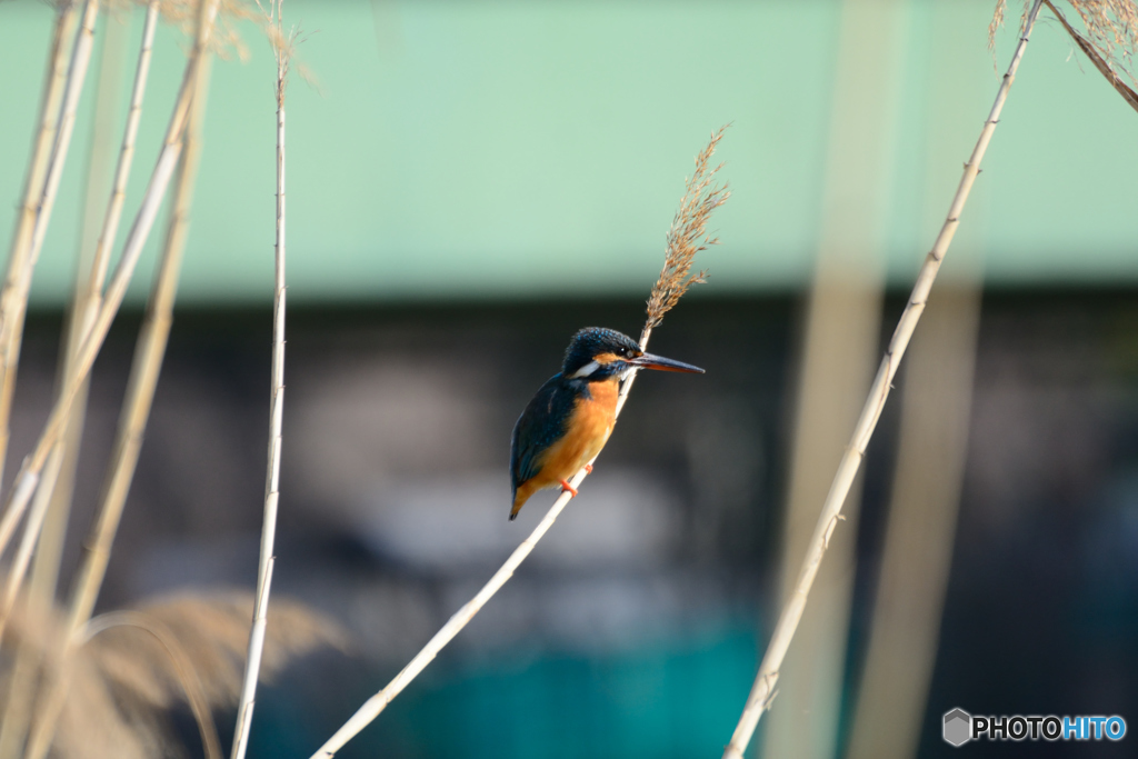 足に力が入ります
