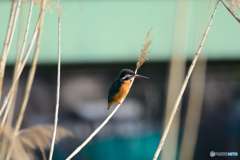 足に力が入ります