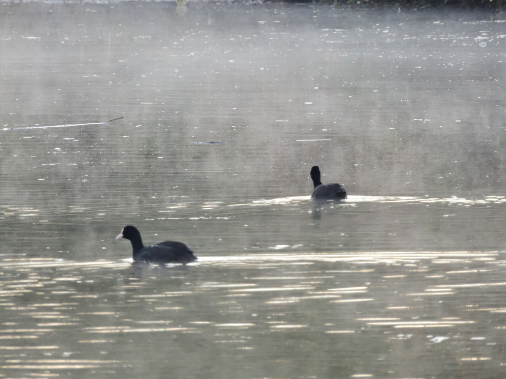 けあらしの中で