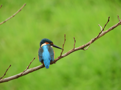 お気に入りの場所_2