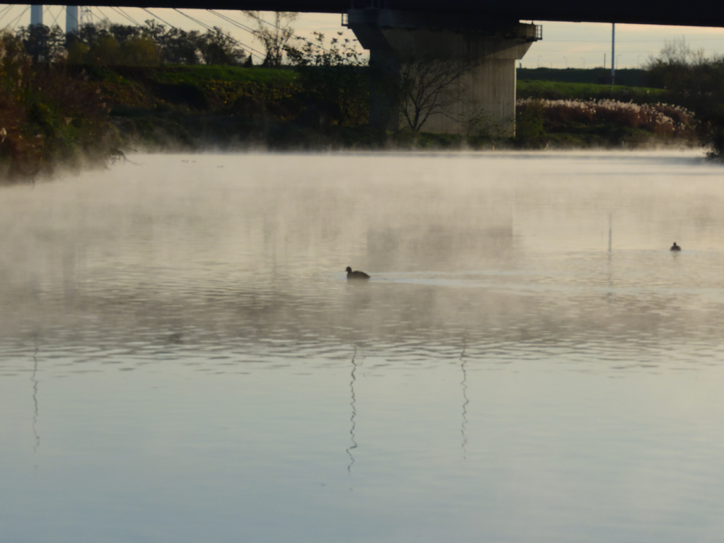 けあらしの中へ