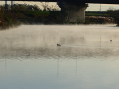 けあらしの中へ