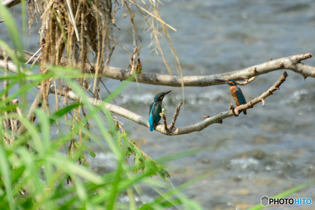何を話しているんだろ