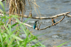 何を話しているんだろ