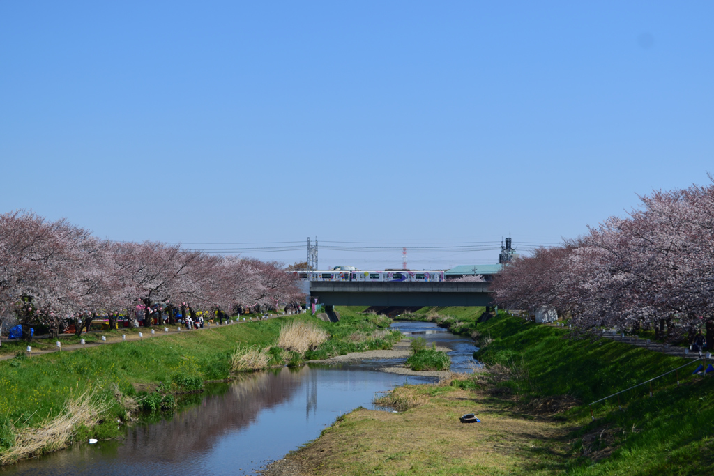 花まつりの後で_3
