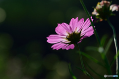 終焉に向かって