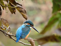 最後の止まり木_02