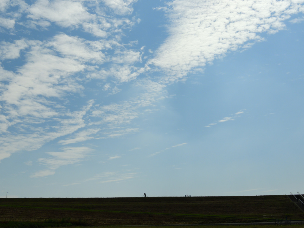ロンリーサイクリング
