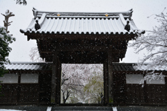 雪の参道