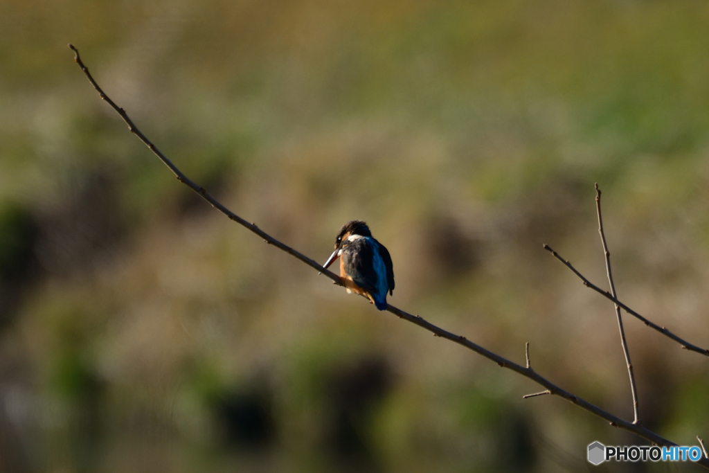 お気に入りの場所