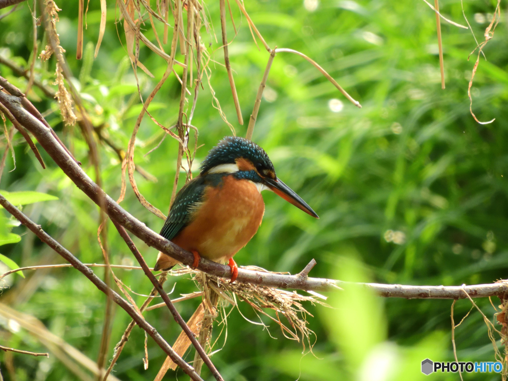 いつもと違う娘