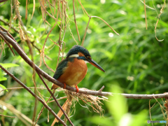 いつもと違う娘