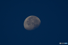 早朝の月