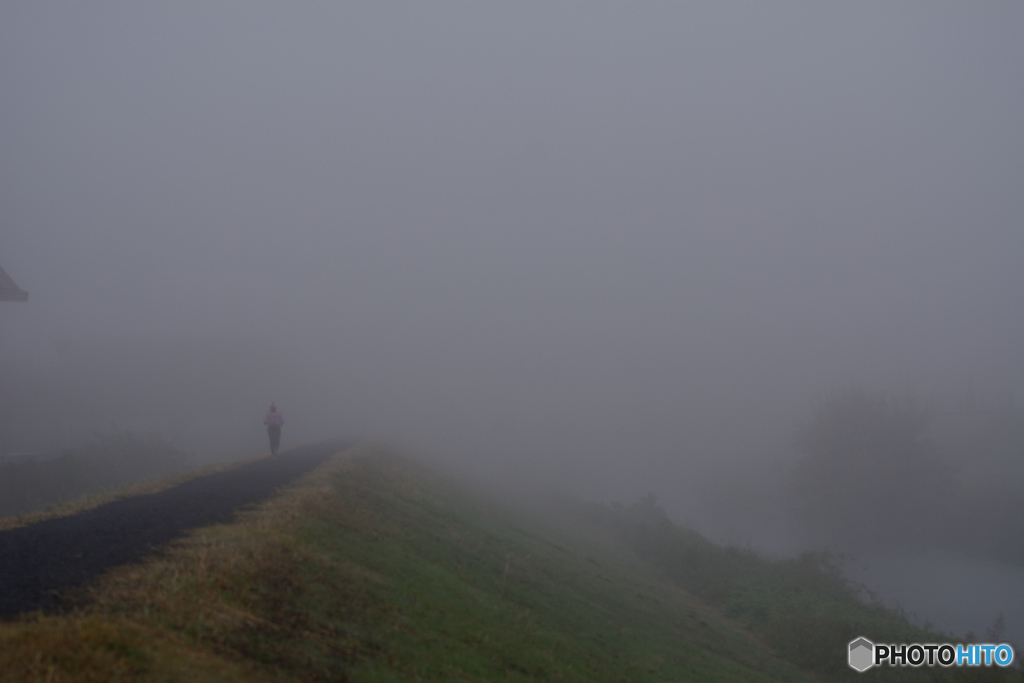 不思議の国へ続く道