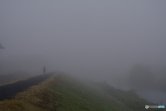 不思議の国へ続く道