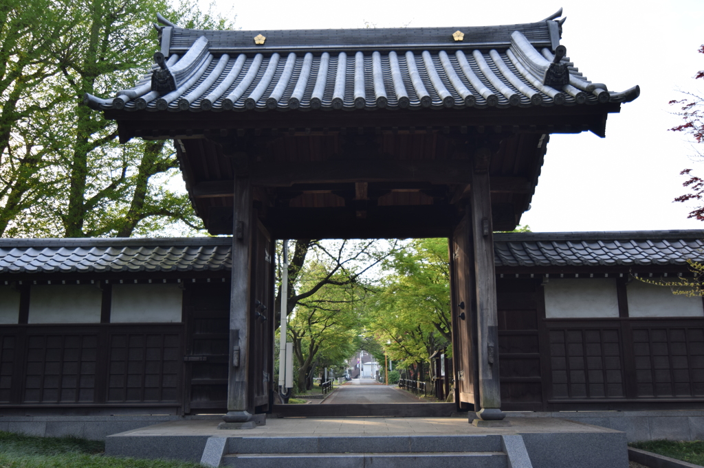 参道