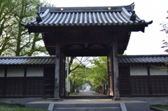 参道