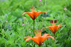 ソーシャルディスタンス