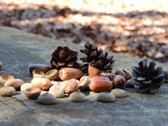 園児たちの置き土産Ⅱ