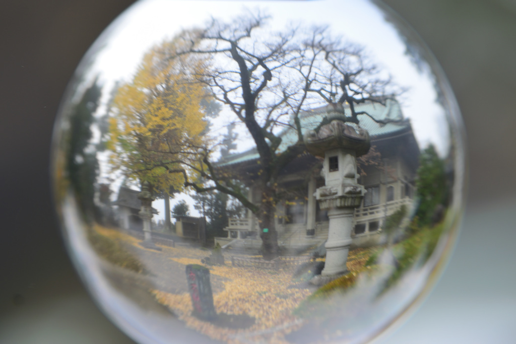 ガラスの中の世界