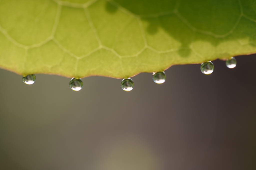 水滴２