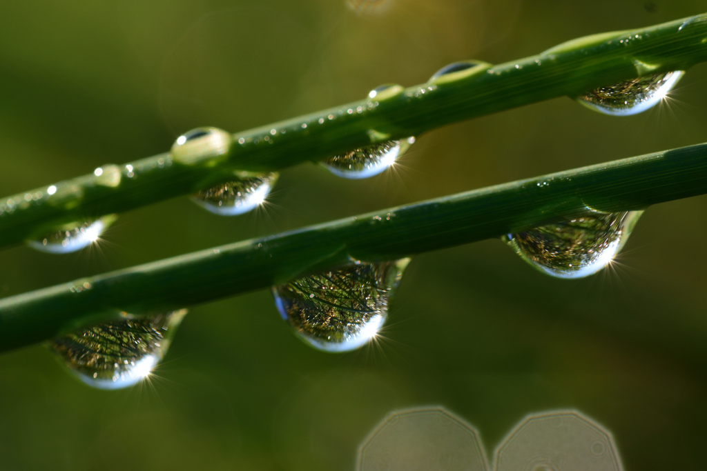 梅雨の晴れ間に