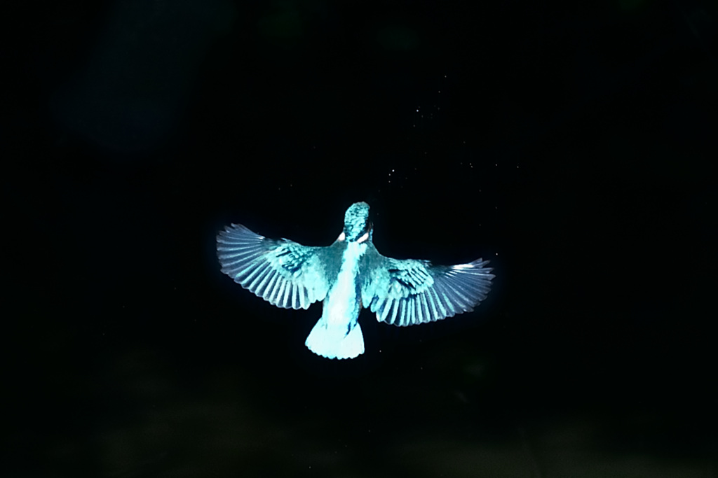 アンダー仕上げ