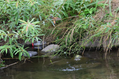 小物GET_3